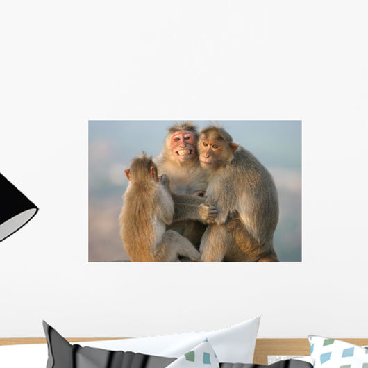 Monkey's Family Wall Mural
