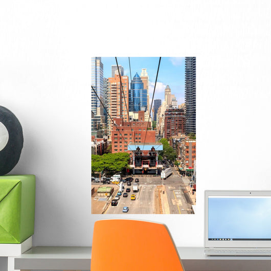 Midtown Manhattan NYC Roosevelt Wall Decal
