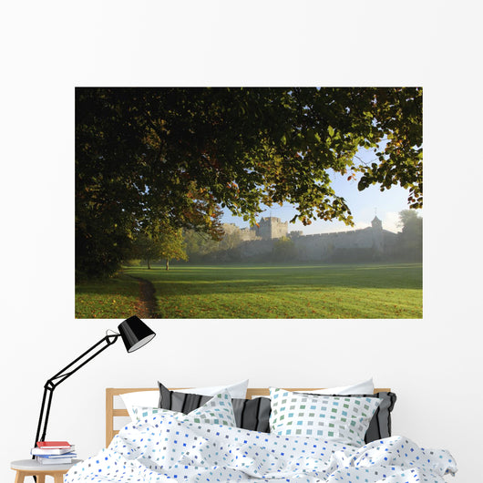 Cahir Castle Wall Mural