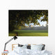 Cahir Castle Wall Mural