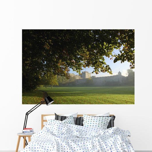 Cahir Castle Wall Mural