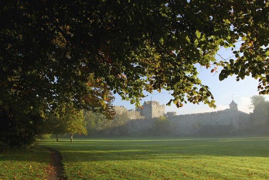 Cahir Castle Wall Mural