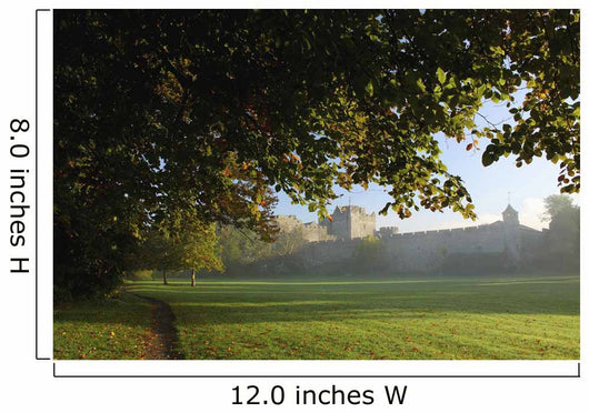Cahir Castle Wall Mural