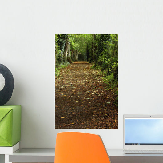 Path Through Woods Wall Mural