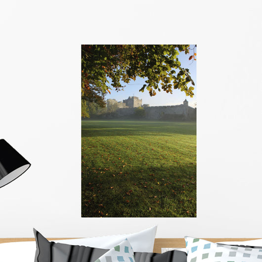 Estate Of Cahir Castle Wall Mural