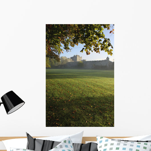 Estate Of Cahir Castle Wall Mural