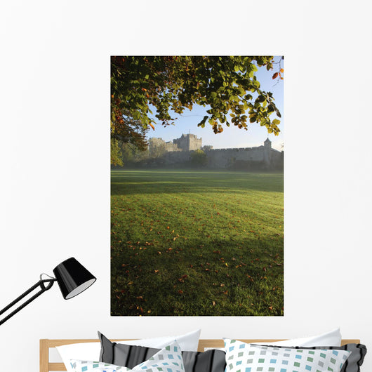 Estate Of Cahir Castle Wall Mural