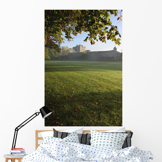 Estate Of Cahir Castle Wall Mural