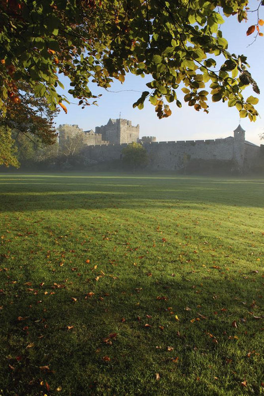 Estate Of Cahir Castle Wall Mural