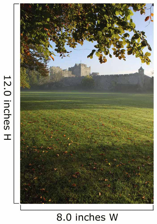 Estate Of Cahir Castle Wall Mural