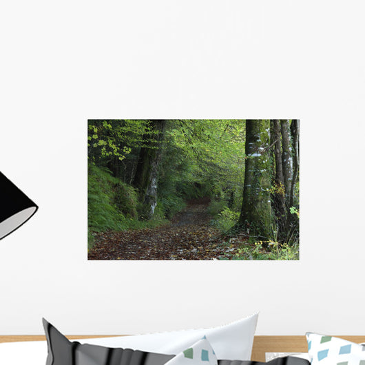 Path Through The Woods Wall Mural