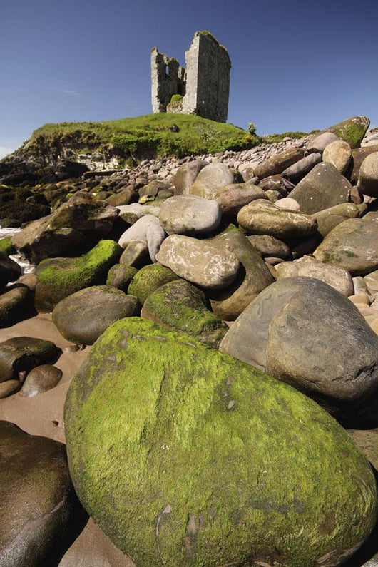 Minard Castle And Rocky Beach Wall Mural