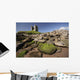 Minard Castle And Rocky Beach Wall Mural