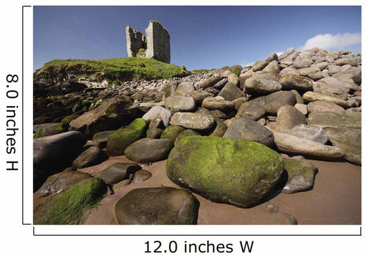 Minard Castle And Rocky Beach Wall Mural