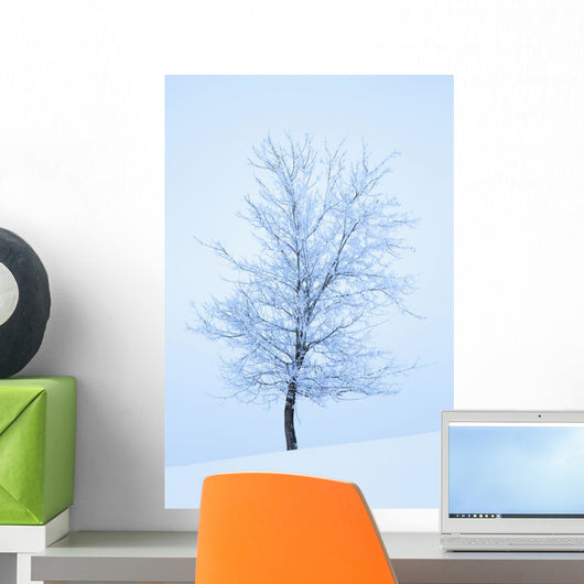 Frost And Snow Cover An Oak Tree Wall Mural