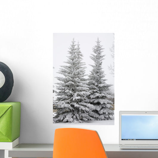 Snow Covered Evergreen Trees Wall Mural