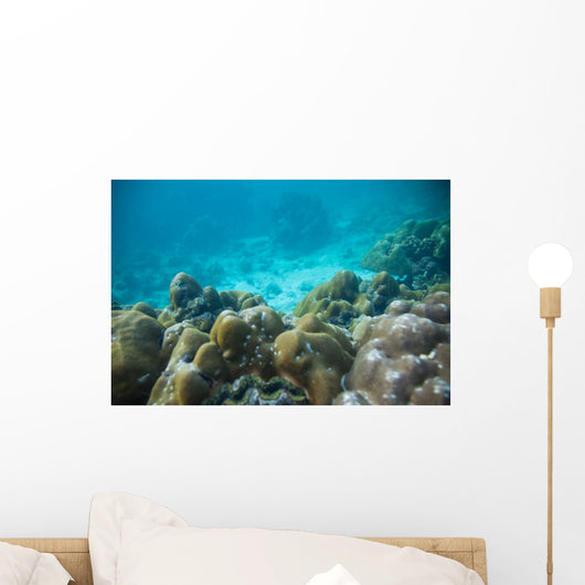 Tropical Underwater Landscape