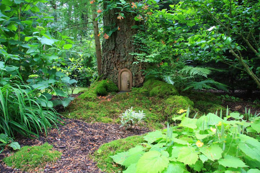 Little Wooden Door in a Tree Trunk Wall Mural