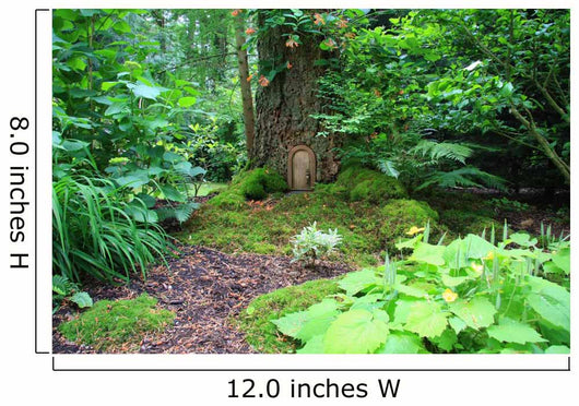 Little Wooden Door in a Tree Trunk Wall Mural