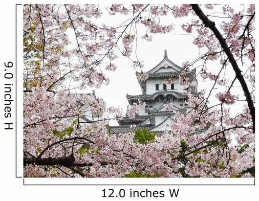 Himeji Castle during Sakura Wall Mural
