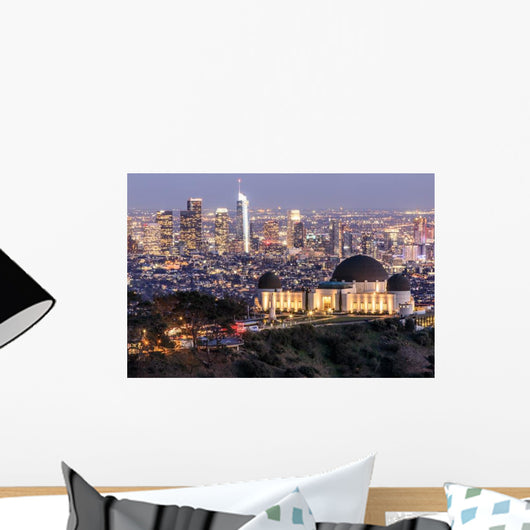 Griffith Observatory Park Wall Decal