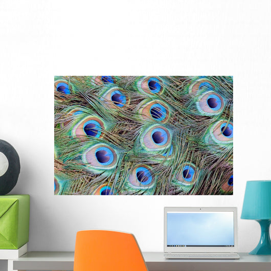 feathers Wall Mural