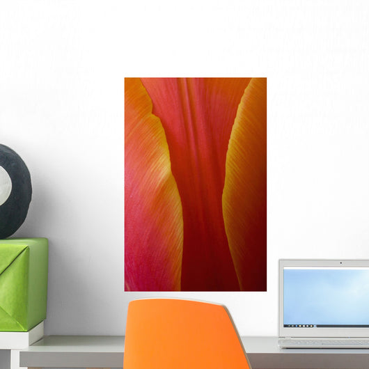 Extreme Close-Up Of Colorful Tulip Petals Wall Mural