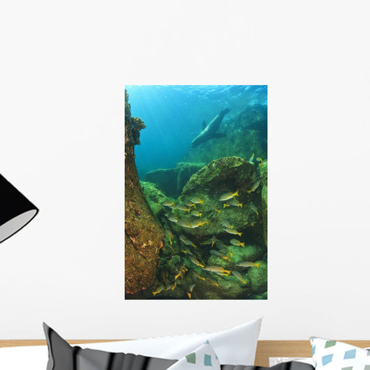 Fish And A Sea Lion Wall Mural