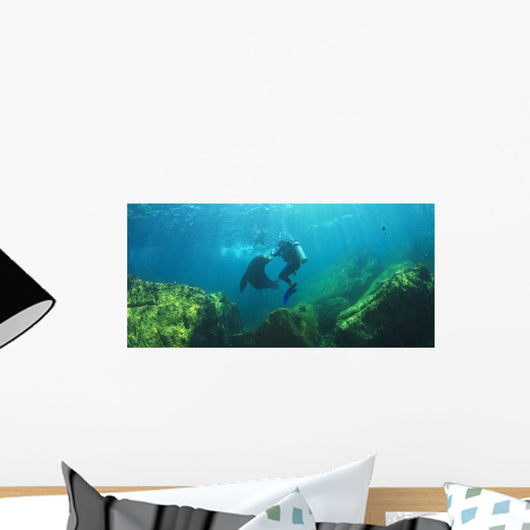 Sea Lions Underwater Wall Mural