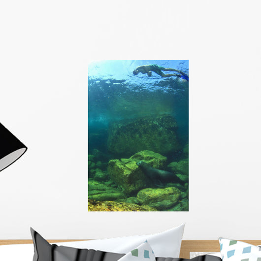 Sea Lion Underwater Wall Mural