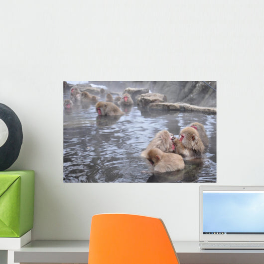 snow monkey nagano Japan Wall Mural