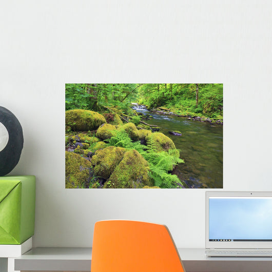 Tanner Creek In Columbia River Gorge National Scenic Area Wall Mural