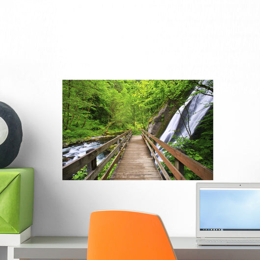 Small Waterfall Along Tanner Creek Wall Mural