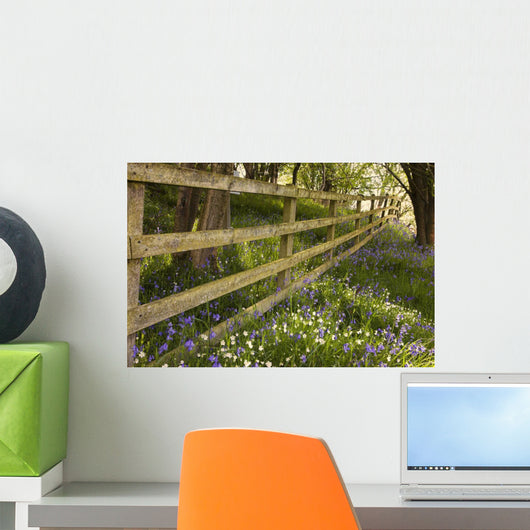 A Wooden Fence Wall Mural