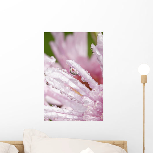 Flower Petals With Raindrops Wall Mural