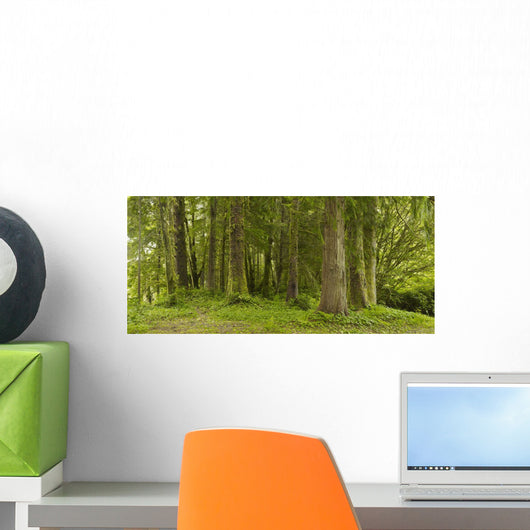 A Lush Forest Wall Mural