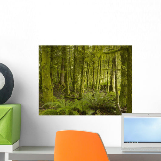 A Lush Forest Wall Mural