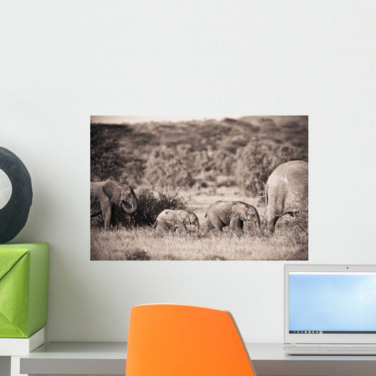 Elephants Walking In A Row Wall Mural