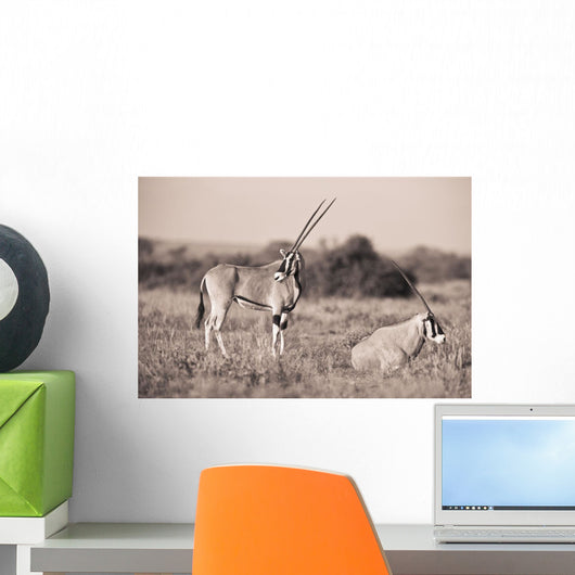 Two Antelopes In A Field Wall Mural