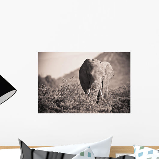 An Elephant Walking In The Bush Wall Mural