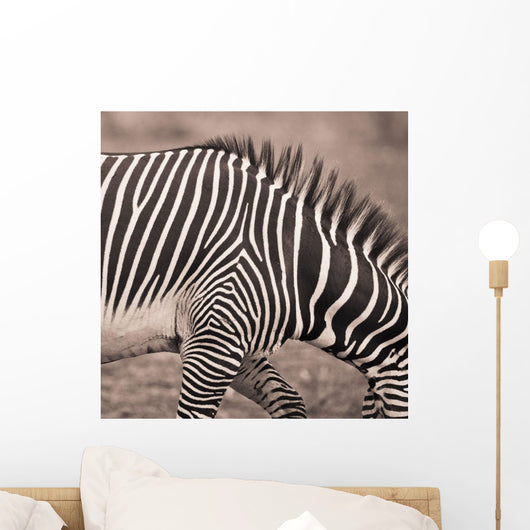 Close-Up Of A Zebra Wall Mural