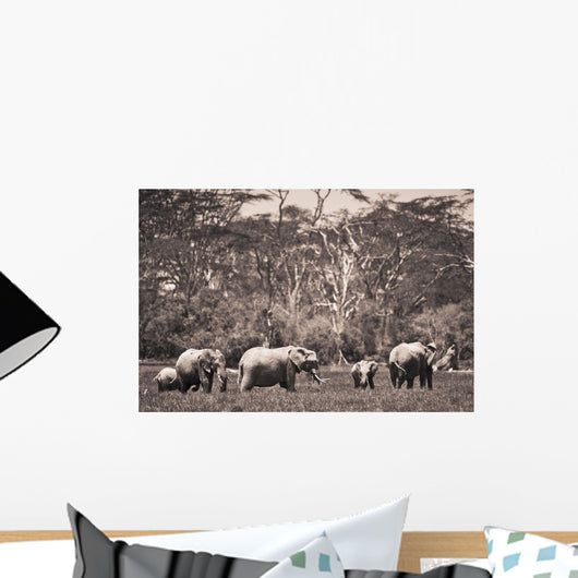 A Group Of Elephants Wall Mural