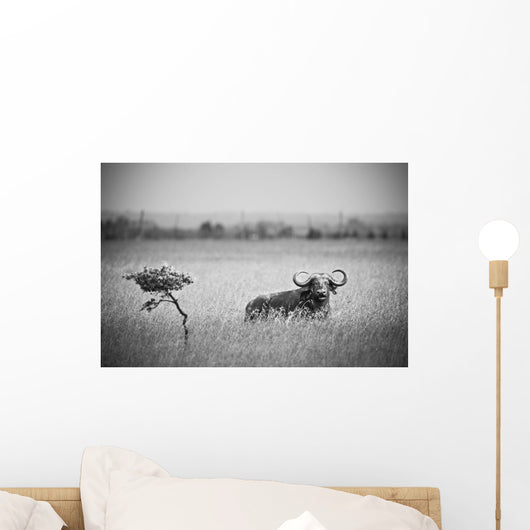 A Wildebeest In A Field Wall Mural