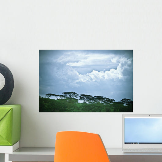 Trees Under A Cloudy Sky Wall Mural