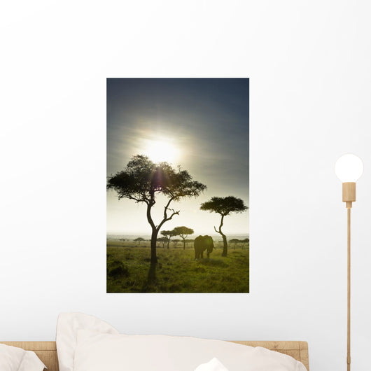 An Elephant Walks Among The Trees Wall Mural