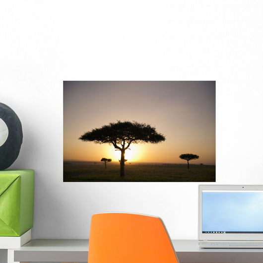 Trees On The Savannah With The Sun Glowing At Sunset Wall Mural