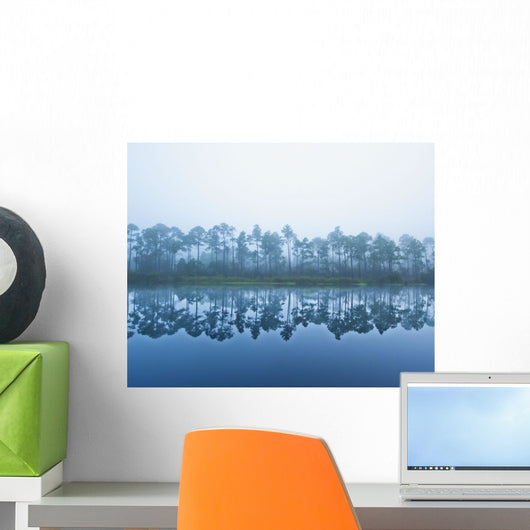 Trees Along The Shoreline Reflected In The Tranquil Water Wall Mural