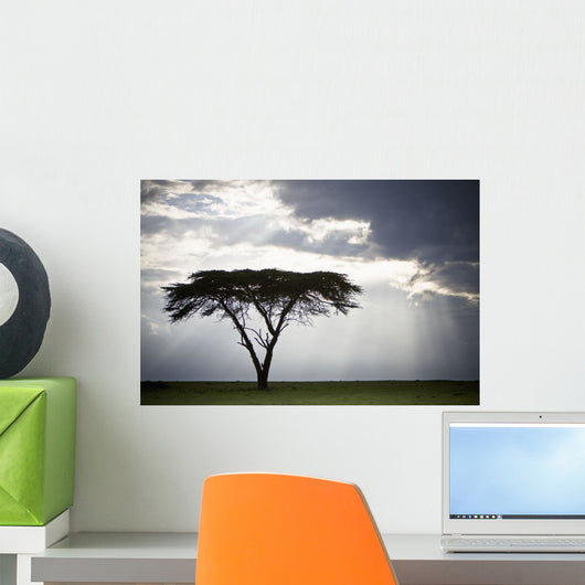 Sunlight Shining Through The Dark Clouds And A Lone Tree In A Field Wall Mural