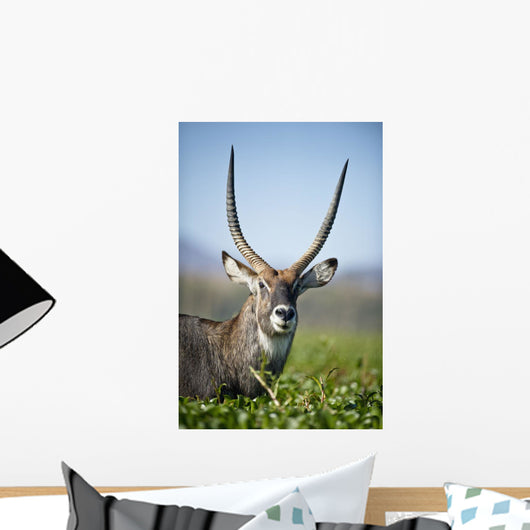 An Antelope Standing Amongst Tall Plants Wall Mural