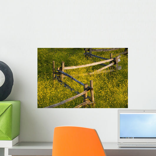 Wildflowers And A Wooden Fence At Sunset Wall Mural